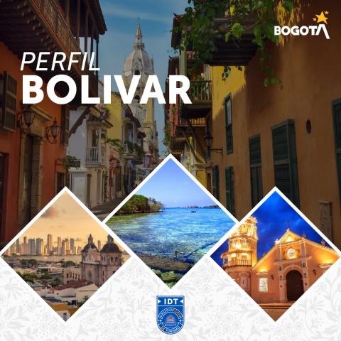  Perfil de Mercado Bolívar 2021